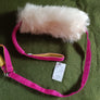 Laisse 3 en 1 ( collier laisse tug mouton )