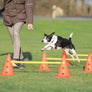 Cavaletti (6 cônes 3 barres )