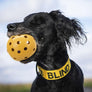 balle avec clochette (chiens malvoyant )