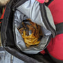 Sac de voyage pour chien