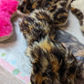 os peluche tout doux idéal pour chiot