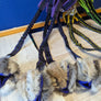 Tug lapin avec balle friandises paws pocket