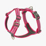 Harnais DOG COPENHAGEN Confort Walk Air -