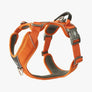 Harnais DOG COPENHAGEN Comfort Walk Pro