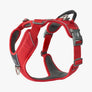 Harnais DOG COPENHAGEN Comfort Walk Pro