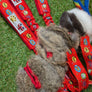 Tug lapin avec balle friandises paws pocket