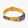 COLLIER DOG COPENHAGEN URBAN STYLE