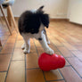 KONG Wobbler - Distributeur de friandises - Pawzitive