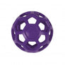 Balle JW Pet Hol-ee Roller - Pawzitive