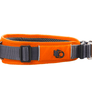 Collier DOG Copenhagen Urban Explorer - Pawzitive