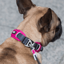 Collier DOG Copenhagen Urban Explorer - Pawzitive