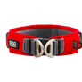 Collier DOG Copenhagen Urban Explorer - Pawzitive