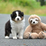 Le paresseux mascotte de la boutique