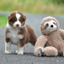 Le paresseux mascotte de la boutique