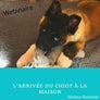 KIT PAW'Z "ARRIVEE DU CHIOT"