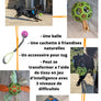 Balle JW Pet Hol-ee Roller
