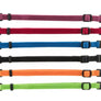 Junior Set collier pour chiot