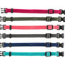 Junior Set collier pour chiot