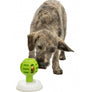 Lick'n'Snack balle