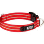 COLLIER DOG COPENHAGEN URBAN STYLE - Pawzitive