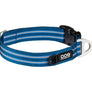 COLLIER DOG COPENHAGEN URBAN STYLE - Pawzitive