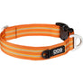 COLLIER DOG COPENHAGEN URBAN STYLE - Pawzitive