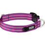 COLLIER DOG COPENHAGEN URBAN STYLE - Pawzitive