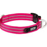 COLLIER DOG COPENHAGEN URBAN STYLE - Pawzitive