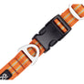 COLLIER DOG COPENHAGEN URBAN STYLE - Pawzitive