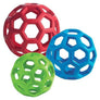 Balle JW Pet Hol-ee Roller - Pawzitive