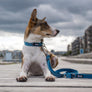 Laisse DOG COPENHAGEN Urban Freestyle