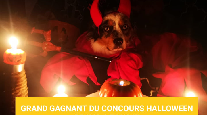 Concours photos halloween