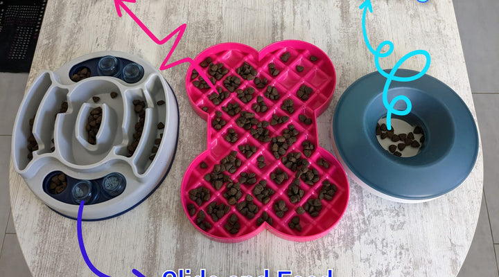 Les gamelles aux multiples vertus