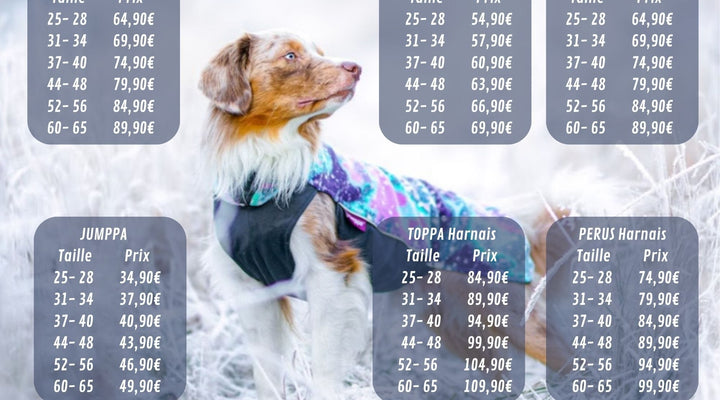 la saison pomppa 2024/2025