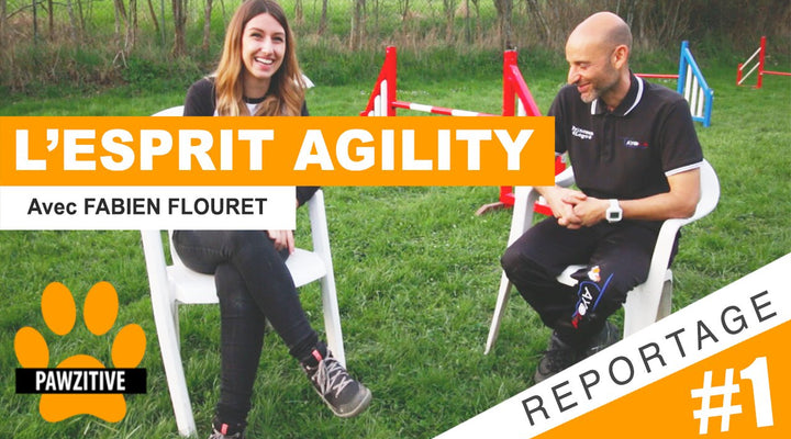 REPORTAGE PAWZITIF #1 - L'ESPRIT AGILITY