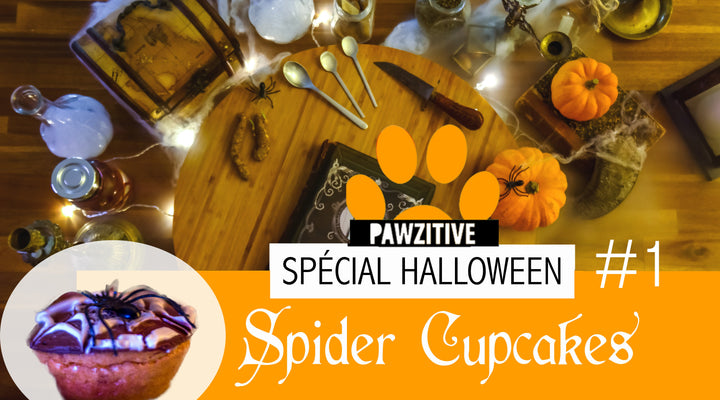 Les SPIDER CUPCAKES pour chiens (et leurs humains aussi !).