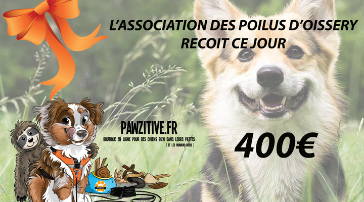 Notre action pour l'association Les poilus d'Oissery