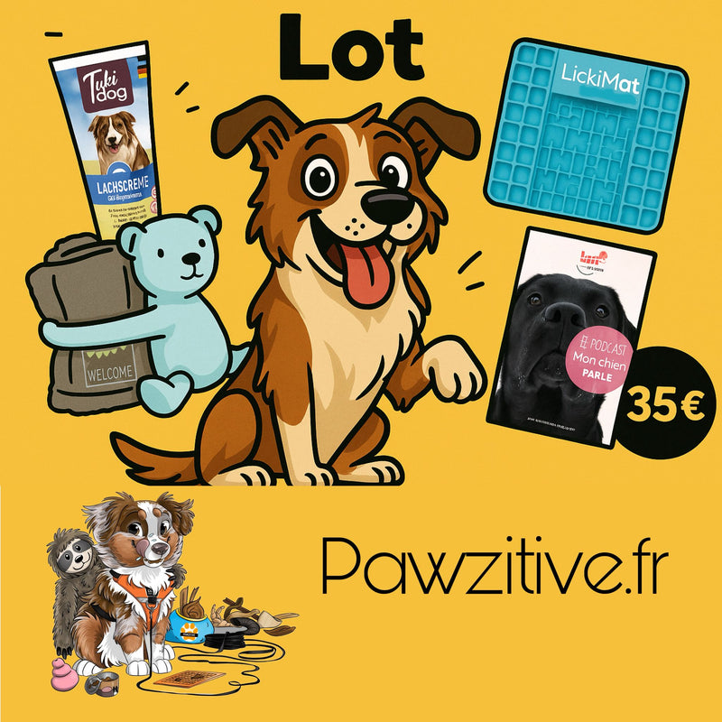 Kit " Mon chien parle " en partenariat avec Romy "kiffe ton chien "