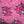 Vet bed - Le tapis tout doux 100x75 differents coloris