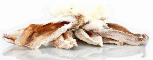 oreilles de lapins avec poils 8 pieces