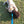 Tug touffu grand mouton