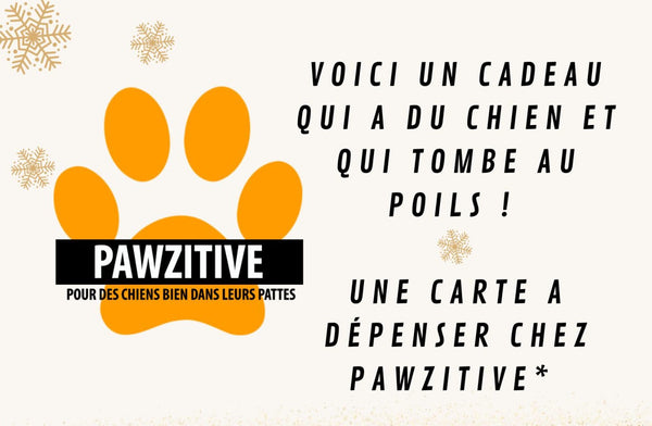 E-Carte cadeau