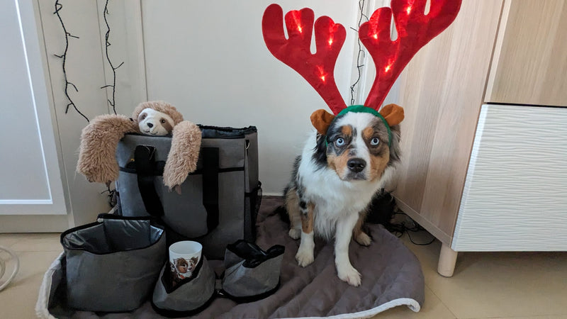 Sac de voyage pour chien