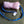 Laisse 3 en 1 ( collier laisse tug mouton )