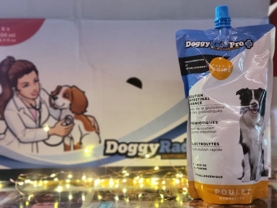 DOGGYRADE Boisson de Soutien Intestinal Avancé pour Chiens 500ml
