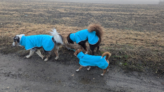 Manteaux pomppa en commande et disponibles