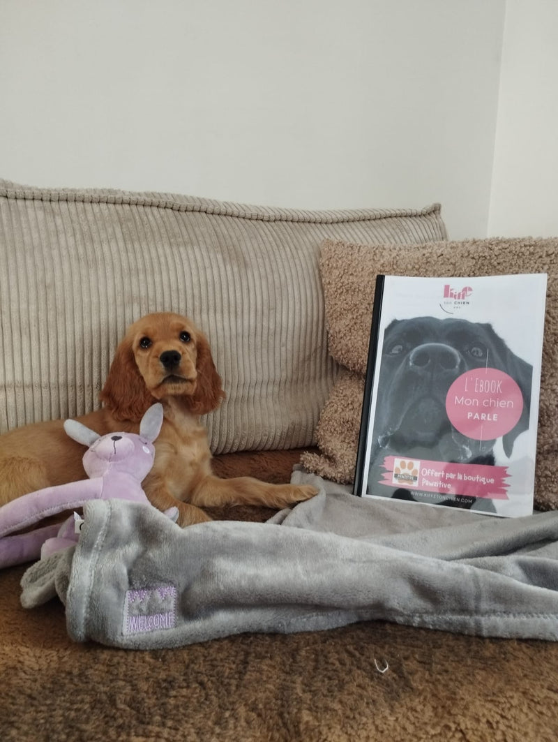 Kit " Mon chien parle " en partenariat avec Romy "kiffe ton chien "