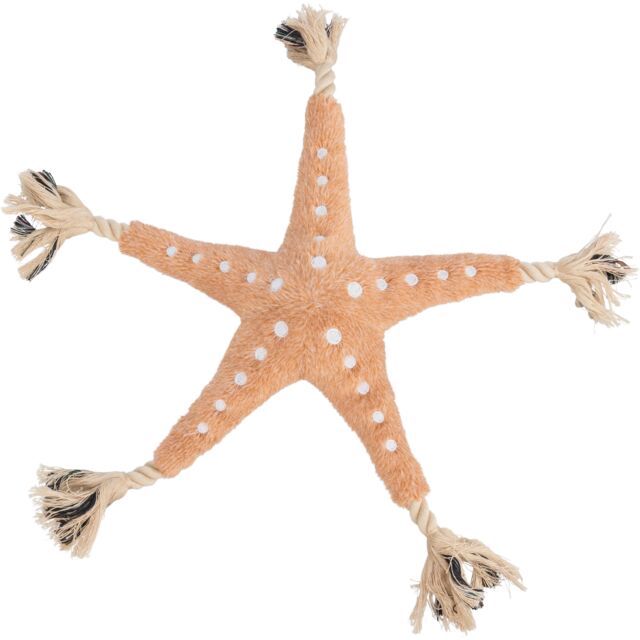 Étoile de mer corde 32 cm