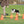 Cavaletti (6 cônes 3 barres )