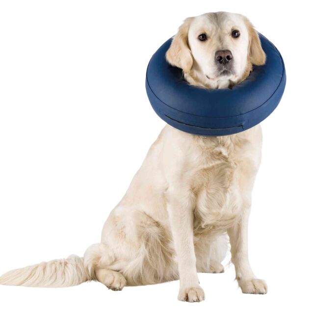 collerette de protection gonflable